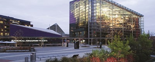 National Aquarium Nets Improved Sustainability With Efficiency Upgrades