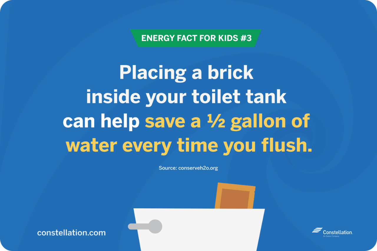 energy fact for kids #3 energy fact for kids #3