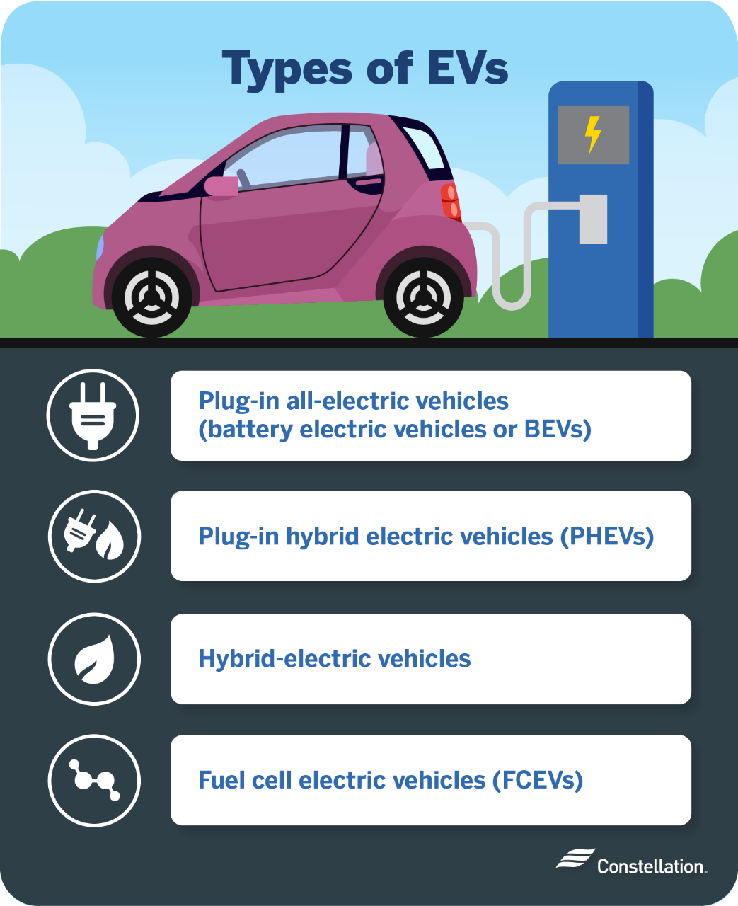 Types of EVs Types of EVs